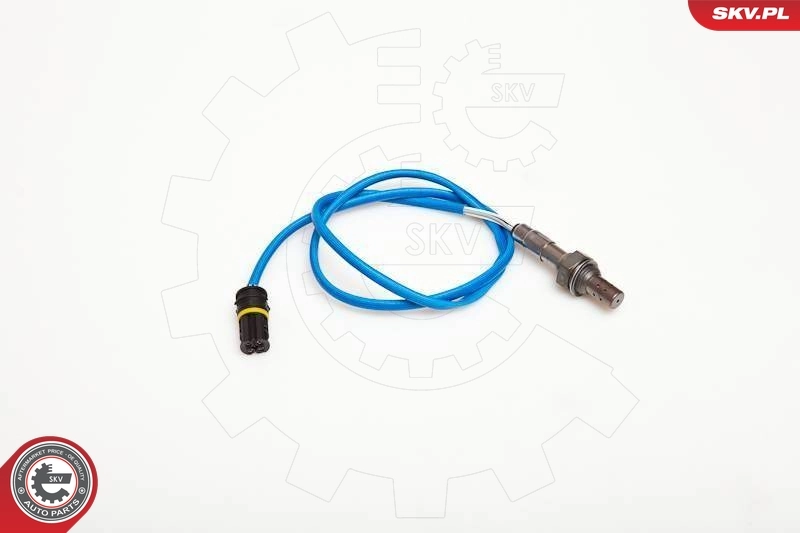 Oxygen Sensor
